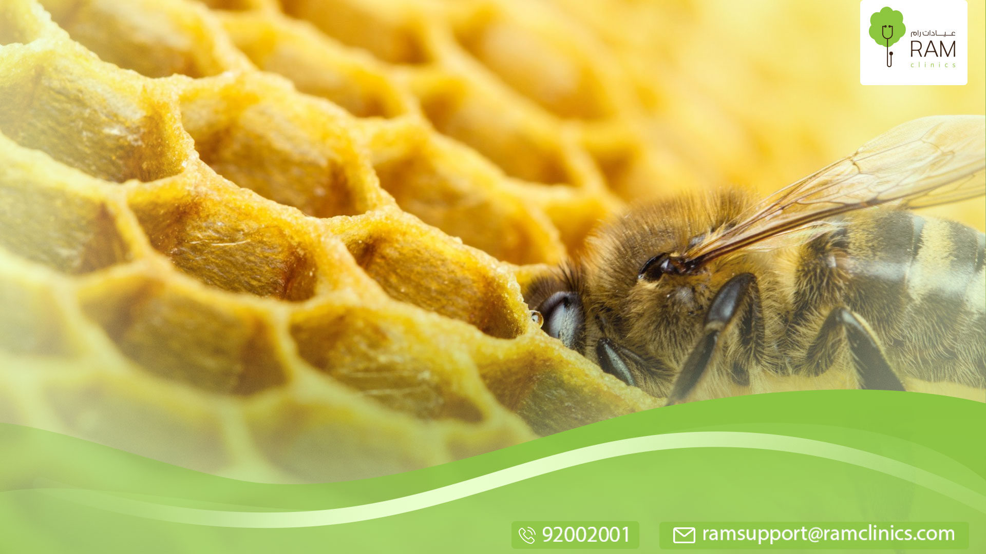 علاج لسعات النحل