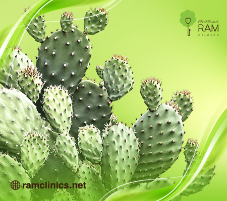 وصفات التين الشوكي للبشرة